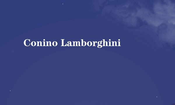 Conino Lamborghini