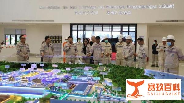 丁立国董事长一行到印尼莫若瓦利工业园视察