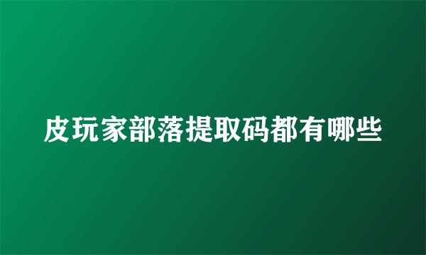皮玩家部落提取码都有哪些
