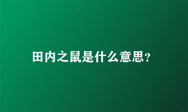 田内之鼠是什么意思？
