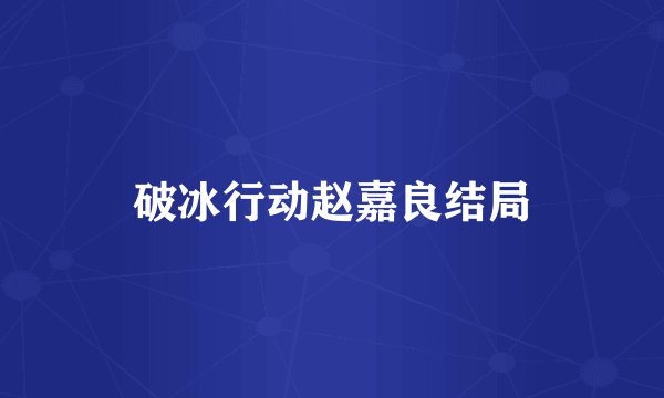 破冰行动赵嘉良结局