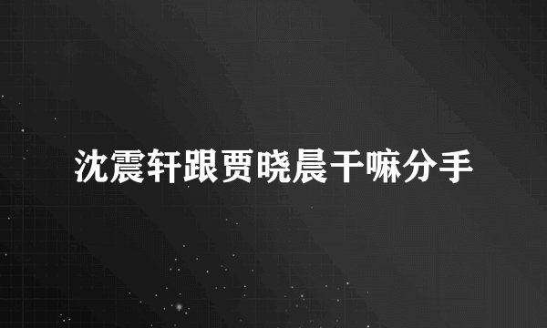 沈震轩跟贾晓晨干嘛分手