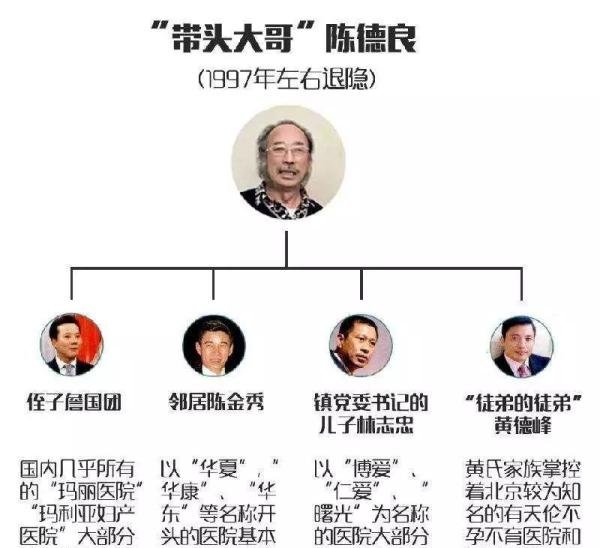 莆田系四大家族