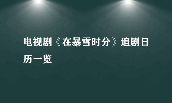 电视剧《在暴雪时分》追剧日历一览