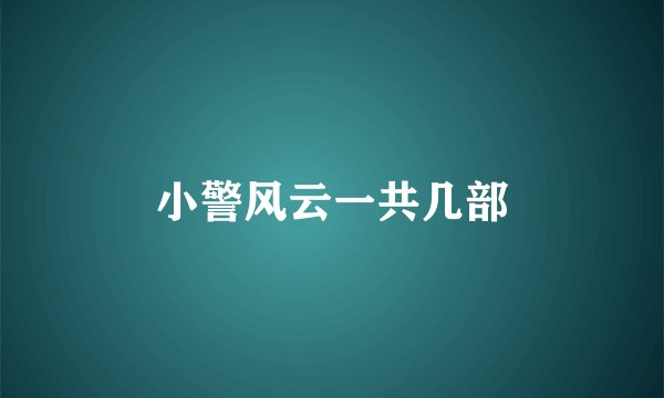 小警风云一共几部