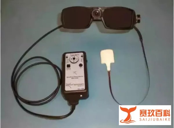 它，能帮助盲人重新“看见”世界