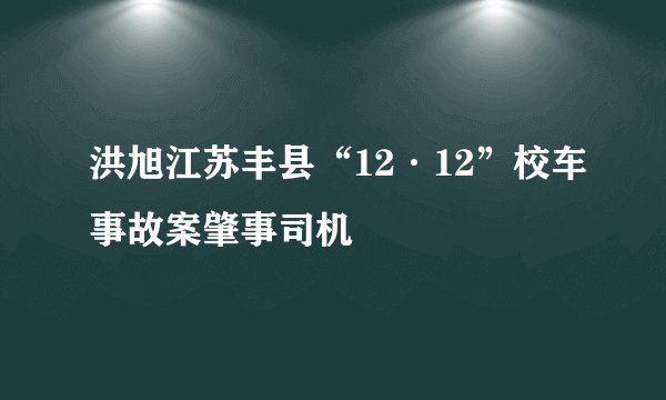 洪旭江苏丰县“12·12”校车事故案肇事司机