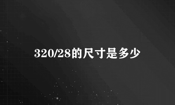 320/28的尺寸是多少