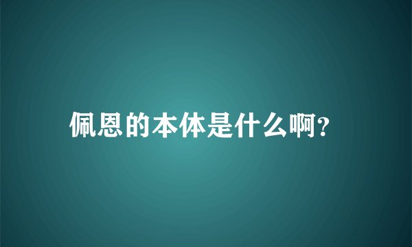 佩恩的本体是什么啊？