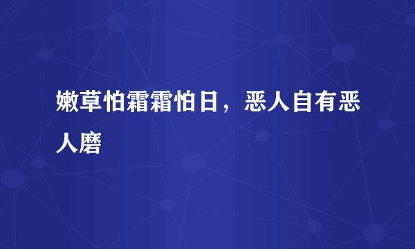 嫩草怕霜霜怕日，恶人自有恶人磨