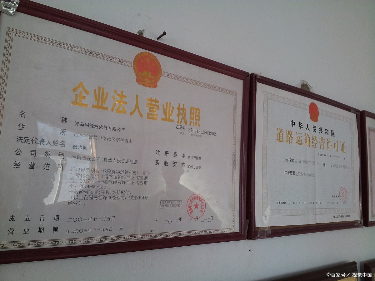 公司性质一般填什么