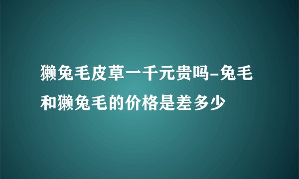 獭兔毛皮草一千元贵吗-兔毛和獭兔毛的价格是差多少