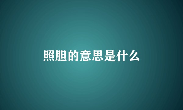 照胆的意思是什么