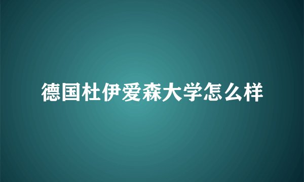 德国杜伊爱森大学怎么样