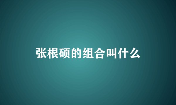 张根硕的组合叫什么
