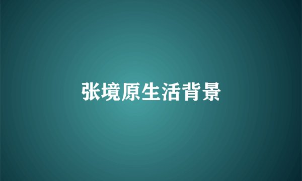 张境原生活背景