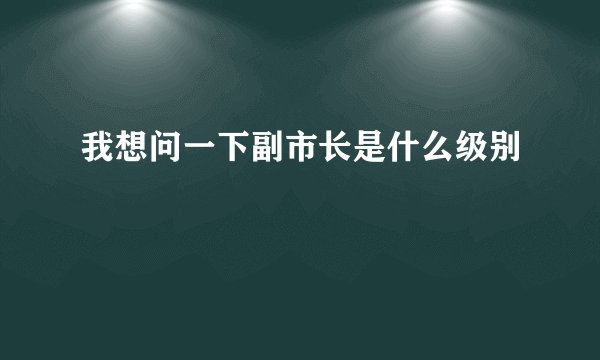 我想问一下副市长是什么级别