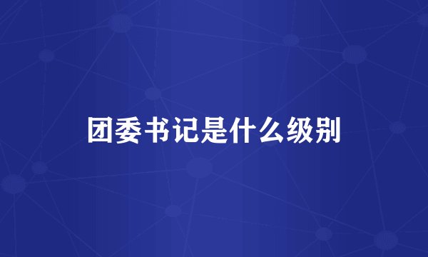 团委书记是什么级别
