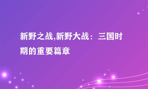 新野之战,新野大战：三国时期的重要篇章