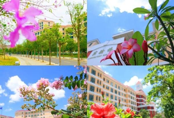 广东海洋大学寸金学院怎么样啊??来看看不就知道了