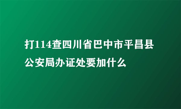 打114查四川省巴中市平昌县公安局办证处要加什么