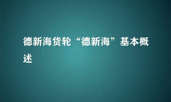 德新海货轮“德新海”基本概述