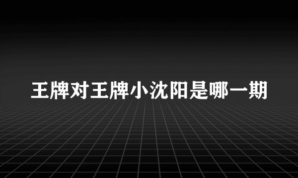 王牌对王牌小沈阳是哪一期