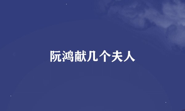 阮鸿献几个夫人