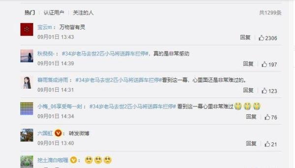 万物皆有灵性！34岁老马去世2匹小马将送葬车拦停