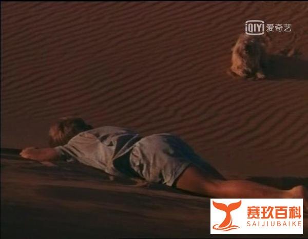 沙漠迷童