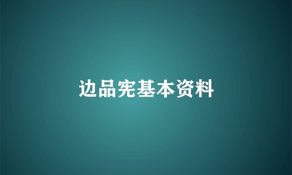 边品宪基本资料