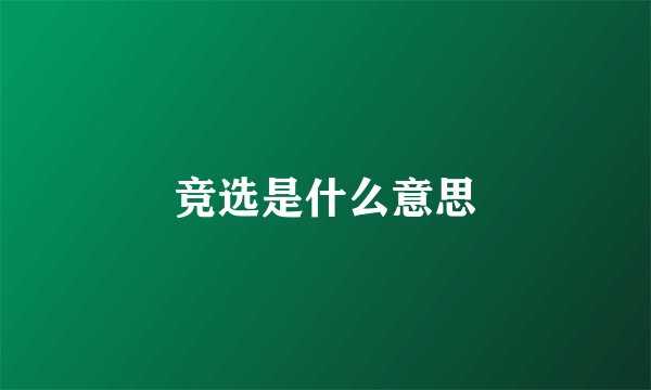 竞选是什么意思