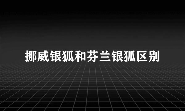 挪威银狐和芬兰银狐区别