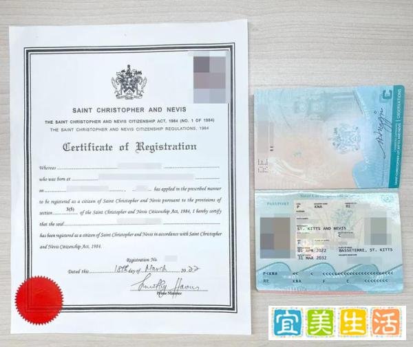 【英雄联盟手游】英雄联盟手游T1打野：出肉就能赢的阿木木