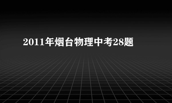 2011年烟台物理中考28题
