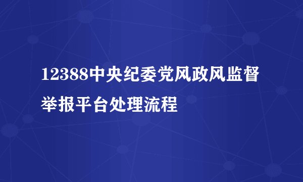 12388中央纪委党风政风监督举报平台处理流程