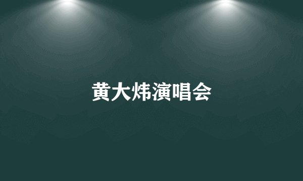 黄大炜演唱会