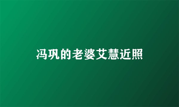 冯巩的老婆艾慧近照