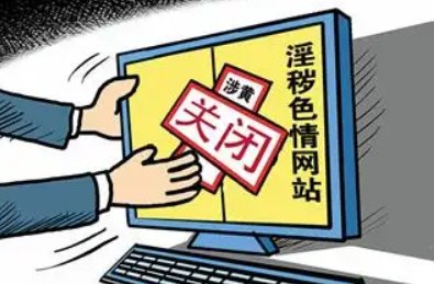 河南一中专学校官网打开后为“色情网站”，这对学生有哪些影响？