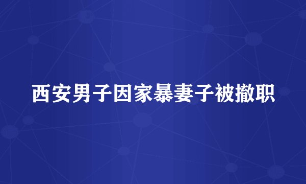 西安男子因家暴妻子被撤职