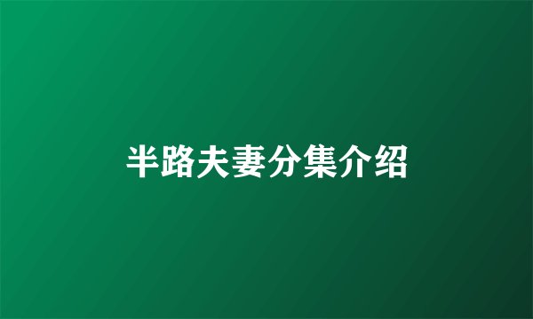 半路夫妻分集介绍