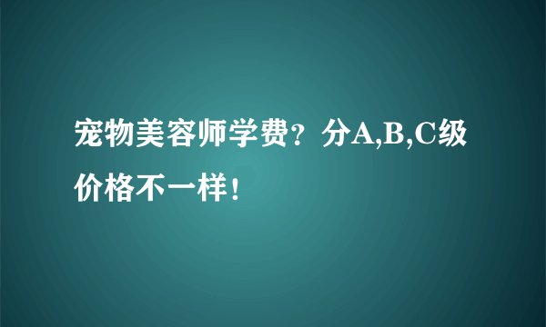 宠物美容师学费？分A,B,C级价格不一样！