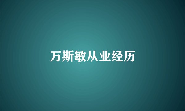 万斯敏从业经历