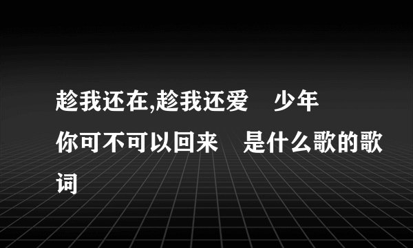 趁我还在,趁我还爱 少年 你可不可以回来 是什么歌的歌词