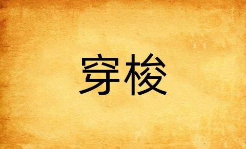 穿梭的意思