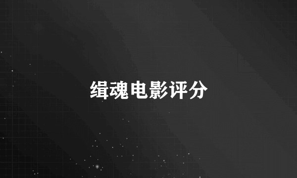 缉魂电影评分