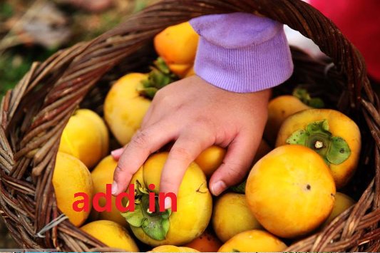 “add in”与“add on”的区别是什么？