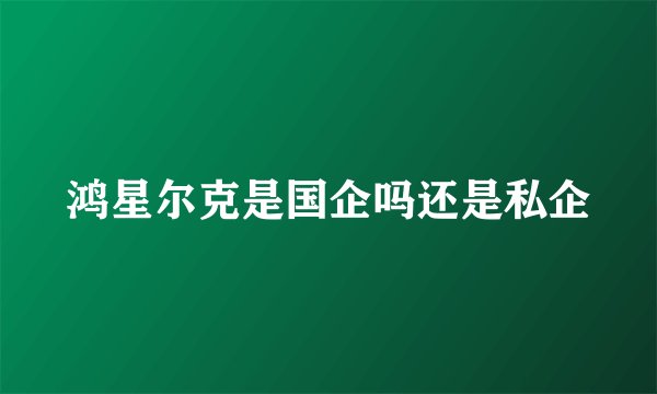 鸿星尔克是国企吗还是私企
