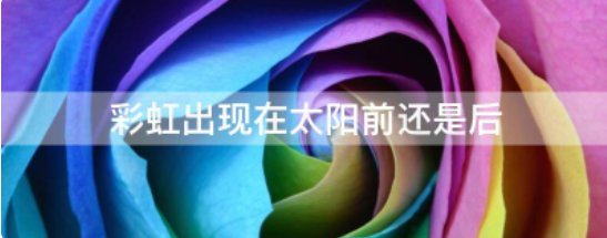 彩虹出现在太阳前还是后