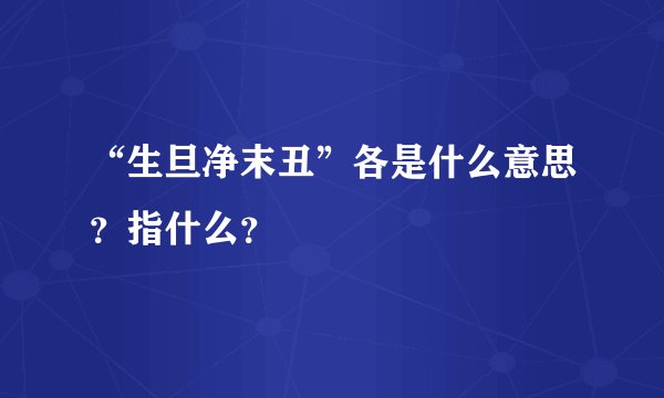 “生旦净末丑”各是什么意思？指什么？